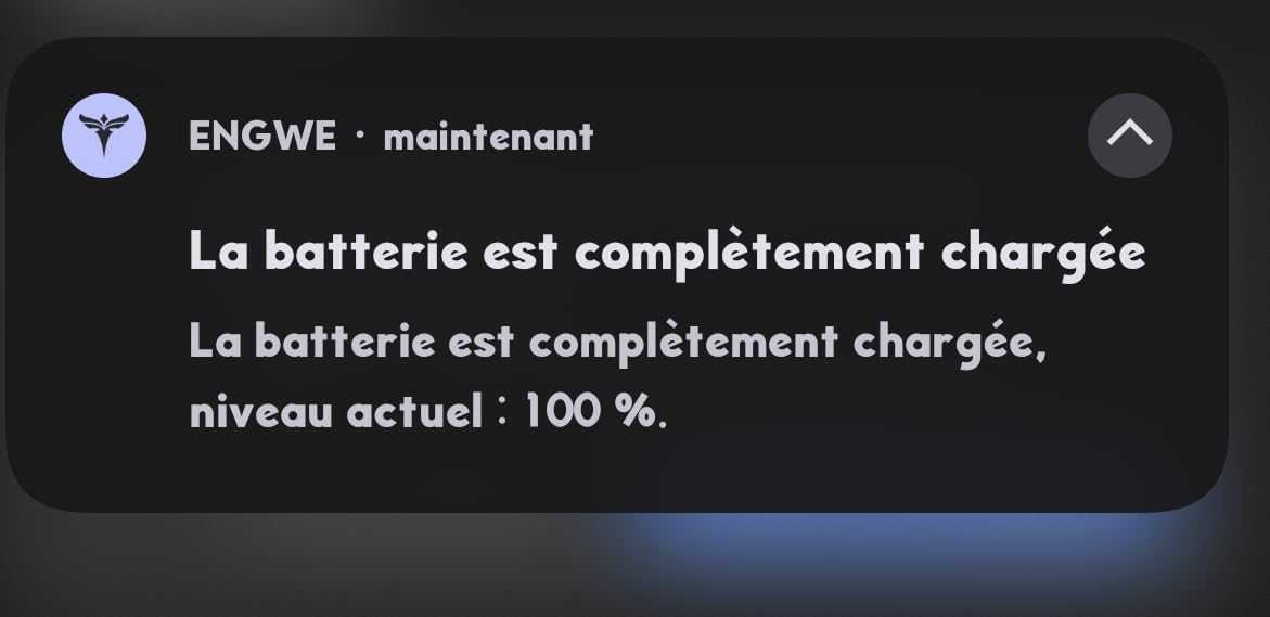 Moteur nerveux