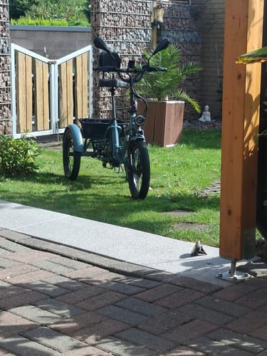 Pris au panier