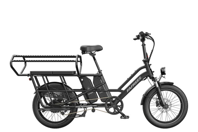 fafrees-cargo-ff20-cuv-v-lo-cargo-lectrique-gris-48v-24ah image 1