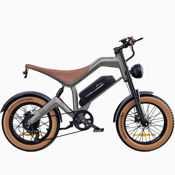 dyu-m20-fat-bike-lectrique-tout-terrain-25-km-h-25 image 1