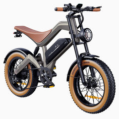 dyu-m20-fat-bike-lectrique-tout-terrain-25-km-h-25 image 8
